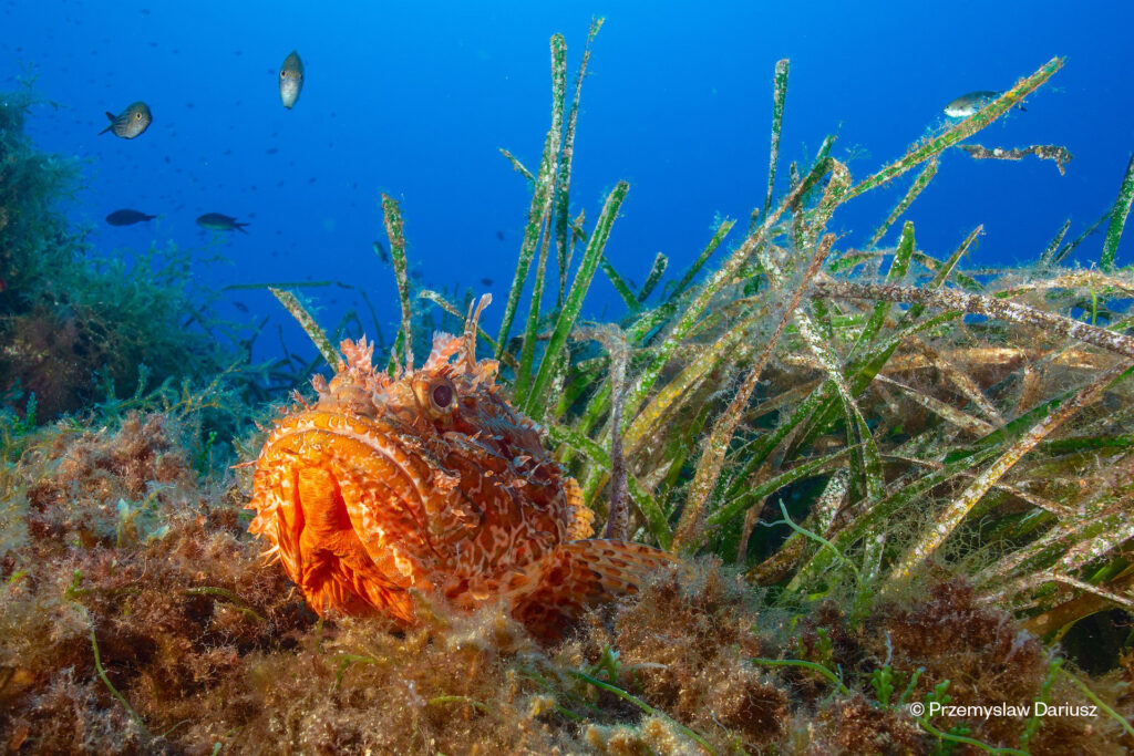 Estudios e informes – Med30